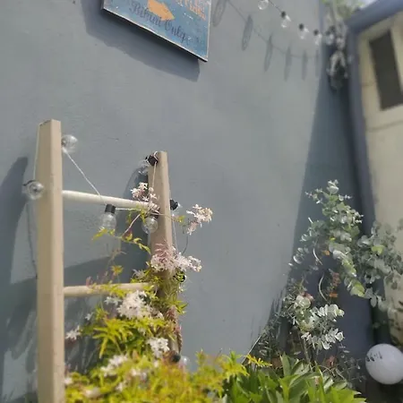 Le Cocon Des Hortillonnages D'amiens *