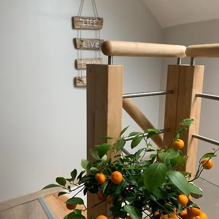 Le Cocon Des Hortillonnages D'amiens Camon (Picardy)