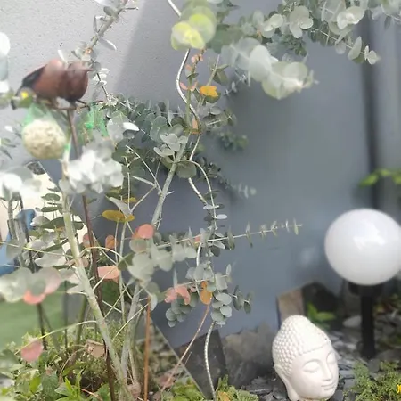 Le Cocon Des Hortillonnages D'amiens * Camon (Picardy)