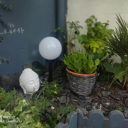 Le Cocon Des Hortillonnages D'amiens بيت للعطل