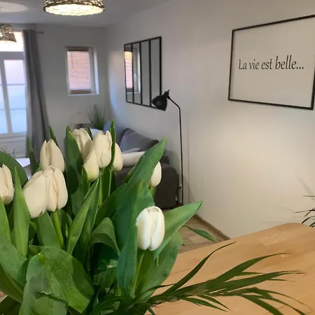 Le Cocon Des Hortillonnages D'amiens Camon (Picardy)