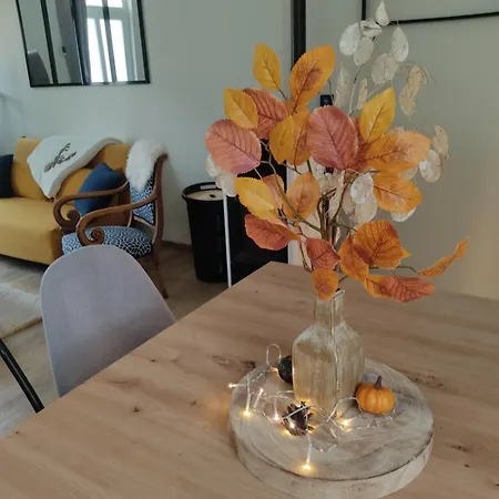 Le Cocon Des Hortillonnages D'amiens