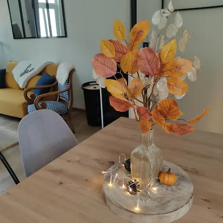 Le Cocon Des Hortillonnages D'amiens