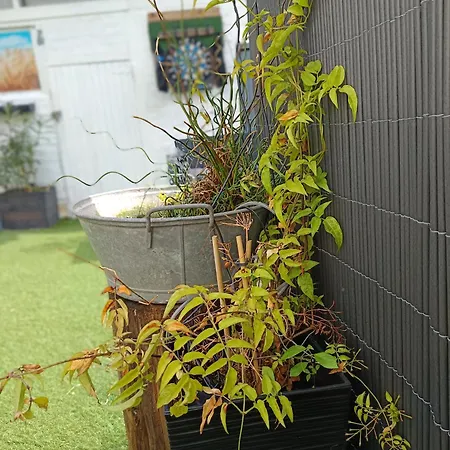 Le Cocon Des Hortillonnages D'amiens *