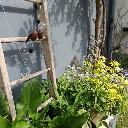 Le Cocon Des Hortillonnages D'amiens *