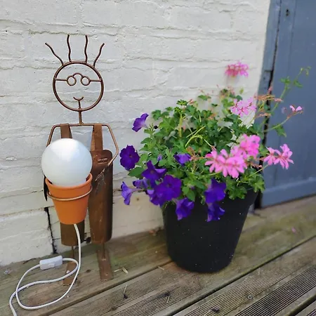 Le Cocon Des Hortillonnages D'amiens * Camon (Picardy)